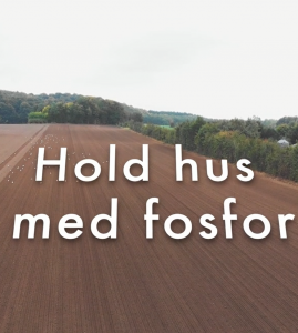 Hold hus med fosfor_Film2