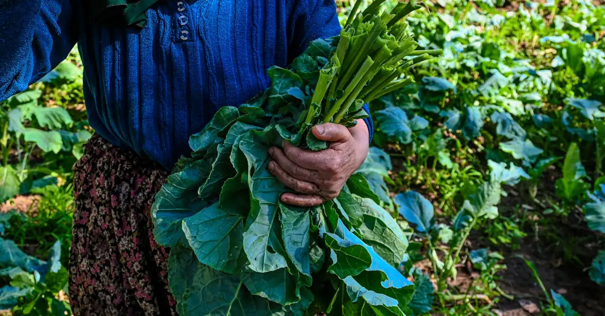 Naturgødning: Få en sundere have med naturlig gødning