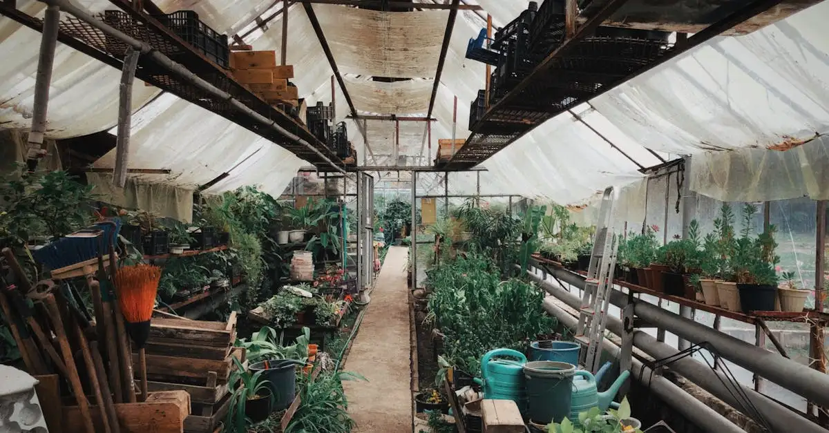 Blomstergødning Netto: Køb Billig Gødning Til Dine Planter