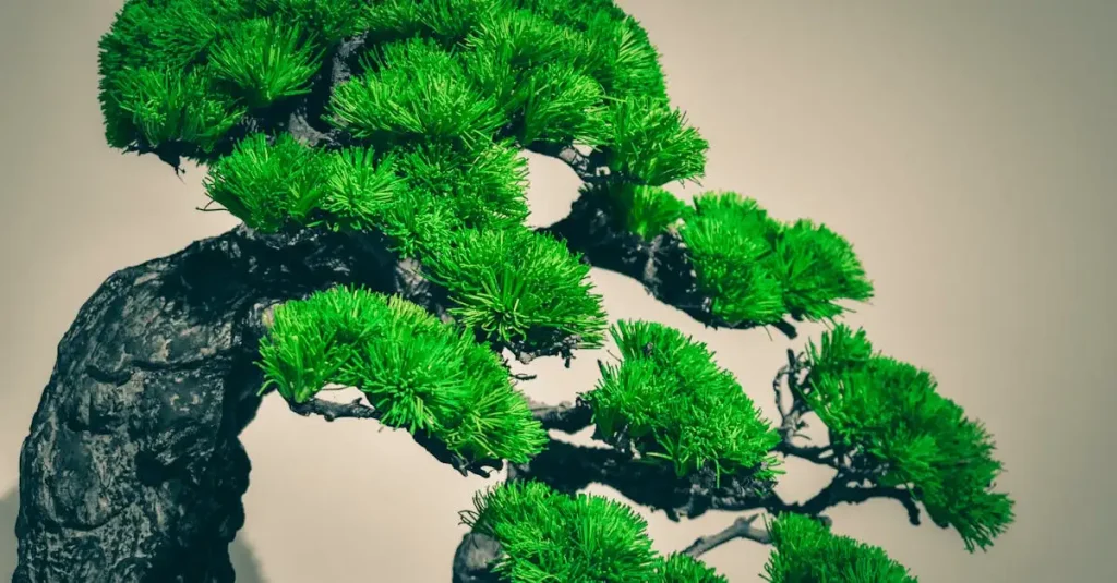 Bonsai Gødning: Optimal Pleje og Vækst for Dine Træer
