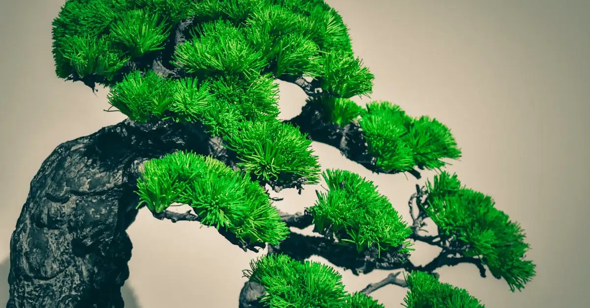 Bonsai Gødning: Optimal Pleje og Vækst for Dine Træer