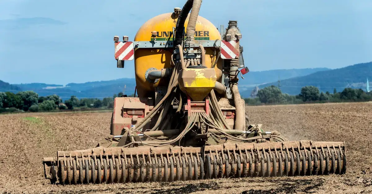Gødning af asparges: Optimal pleje for sunde planter
